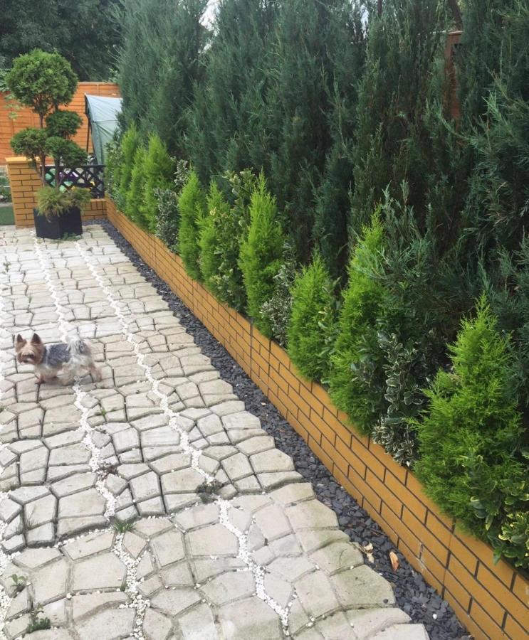 Apartment Luxe Free Wifi, Free Parking, Free Netflix Friern Barnet Εξωτερικό φωτογραφία